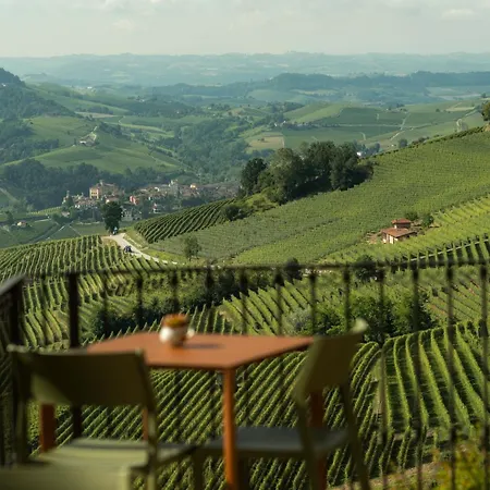 Sky & Vineyards - Mora - *